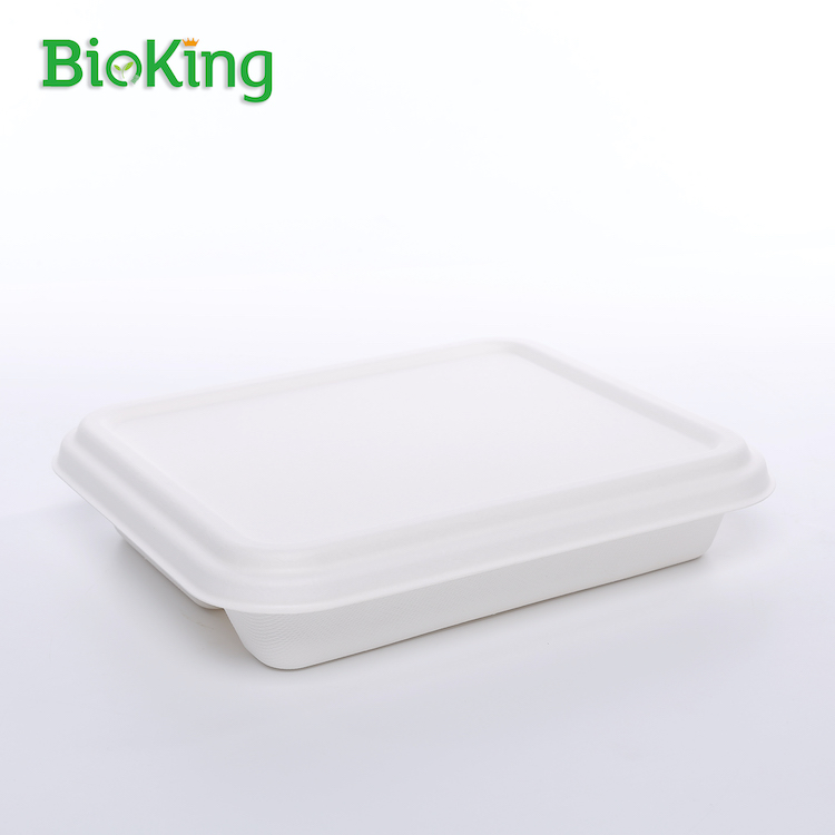 Mini 4- Comparment Food Container